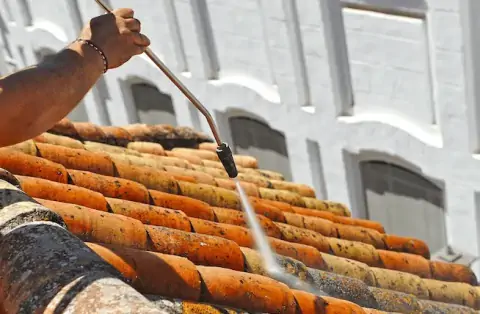 Nettoyage de toitures - Hagenbach